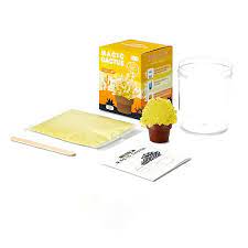 Ecoey - Crystal Growing Kit