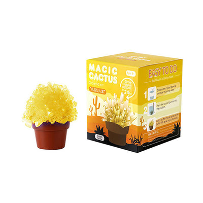 Magic Cactus Growing Kit Golden Yellow Toy