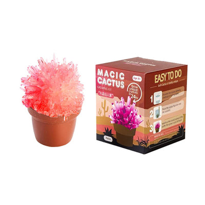 Magic Cactus Growing Kit Rubine Toy
